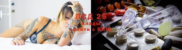 ПСИЛОЦИБИНОВЫЕ ГРИБЫ Абинск