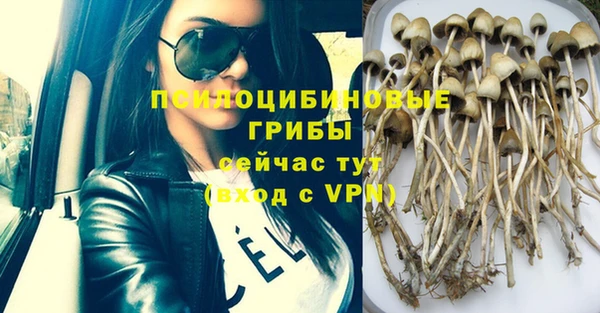 ECSTASY Абдулино