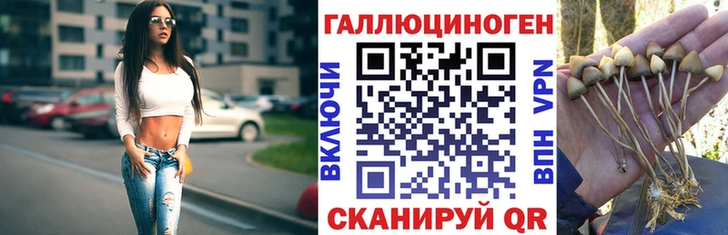 Псилоцибиновые грибы GOLDEN TEACHER  Королёв 